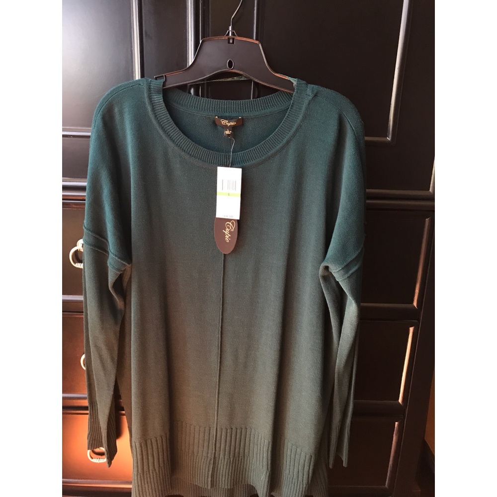 Cupio women’s beautiful green/blue sweater (L)